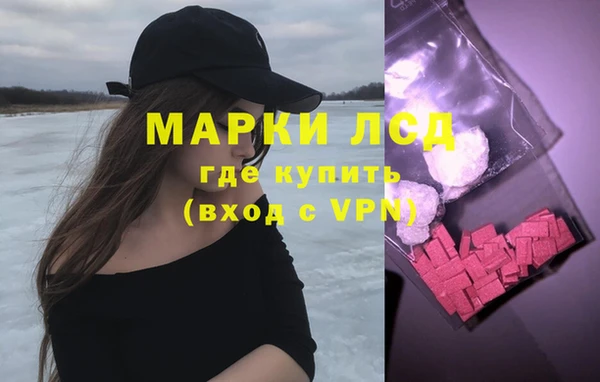 спиды Губаха