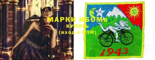 спиды Губаха