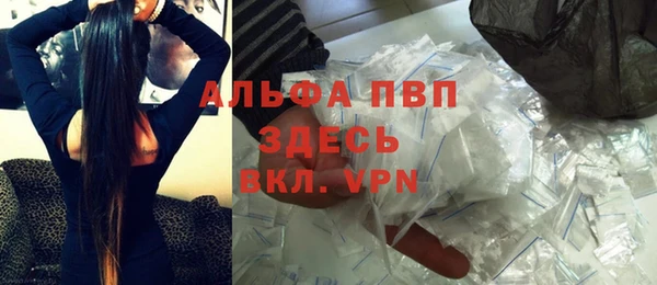 спиды Губаха
