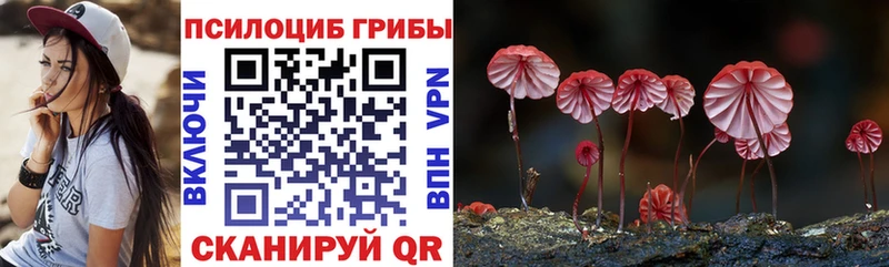 Псилоцибиновые грибы мицелий  кракен онион  Красновишерск  как найти закладки 
